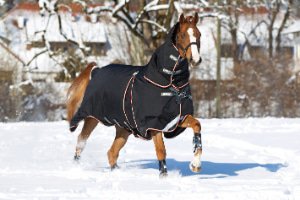 Coperte invernali Cavallo