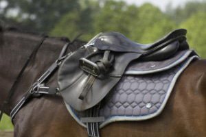 Selle e accessori Cavallo