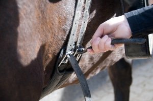 Sottopancia lungo Cavallo