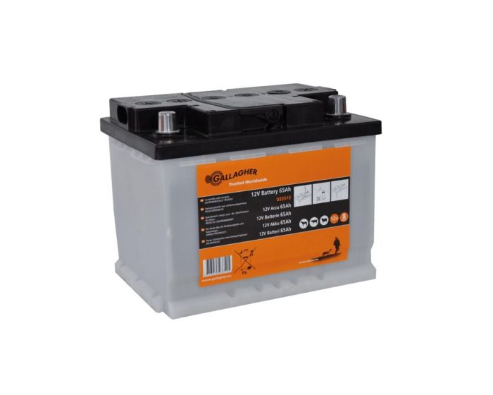 Gallagher Batteria 12V/65Ah LA - 242x175x190mm main product photo
