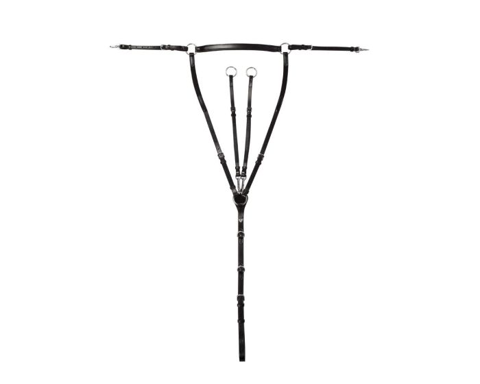 PFIFF Collare toracico platino Coventry main product photo