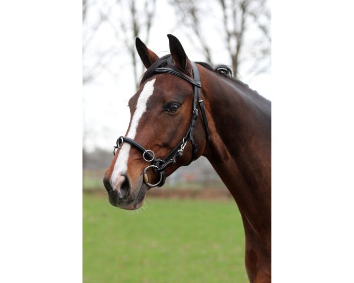 horka BR STIRRUP main product photo