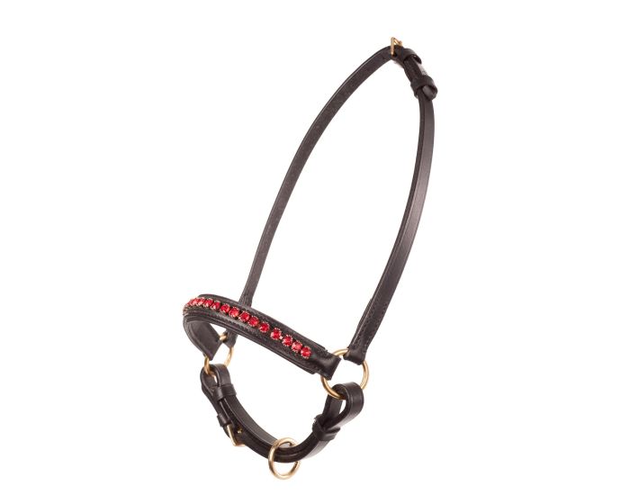 MHS Show Halter Mon Cherie Black/Red Foal main product photo