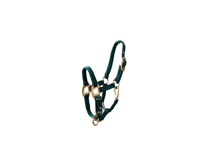 Hamilton Halter Green Pony main product photo