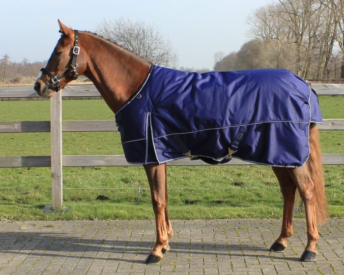 QHP Coperta tecnica da paddock 300 grammi main product photo