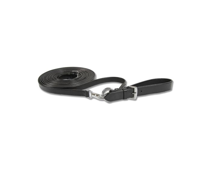 Waldhausen Redini in pelle STAR main product photo