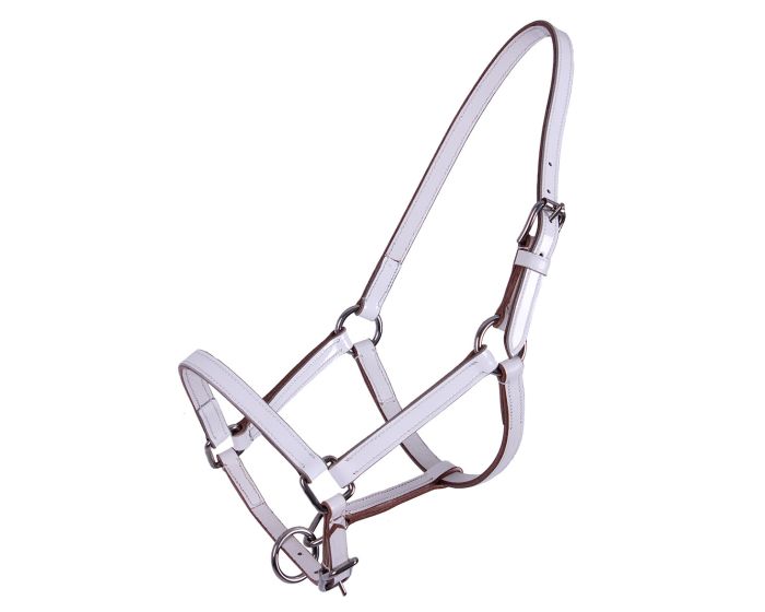 QHP Halter puledro in pelle main product photo