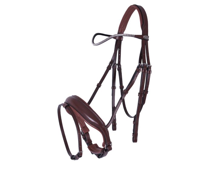 QHP Briglia Odino main product photo