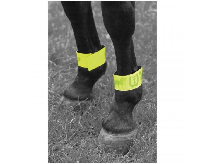 Fasce riflettenti con velcro Imperial Riding main product photo