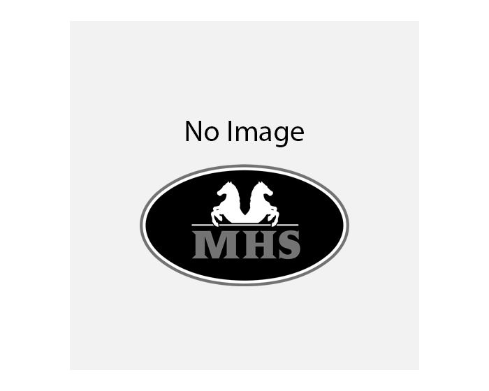 Short Hors HW Air-Stretch main product photo