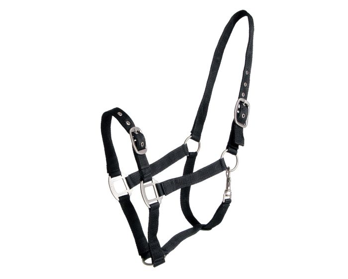 QHP Capezza doppia regolabile main product photo
