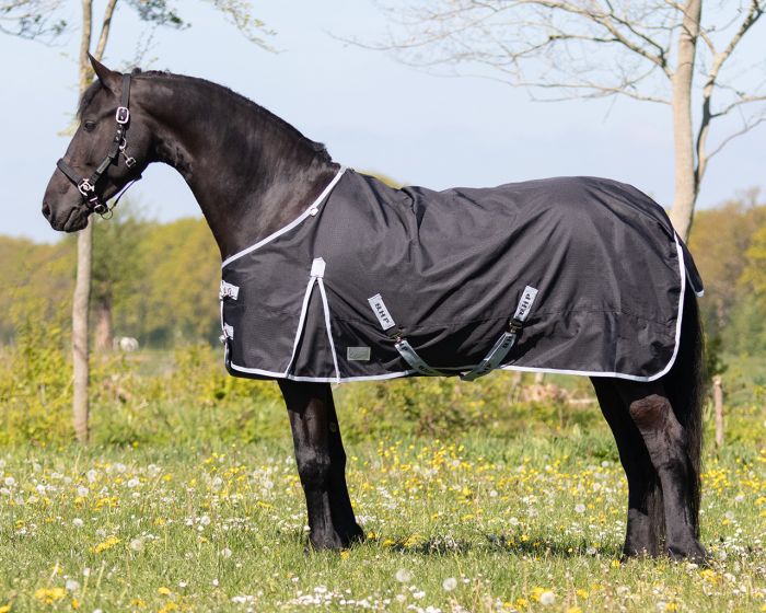 QHP Coperta Turnout XL 0gr main product photo