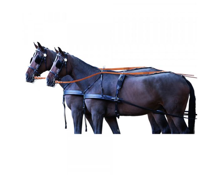 PFIFF Pettorina per due cavalli "Standard" main product photo