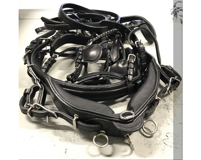 Complete Rig Mini Shet Black main product photo