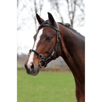 horka BR STIRRUP