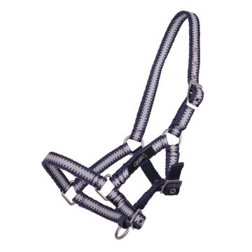 Collezione di puledro Halter QHP