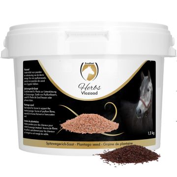 Excellent Semi di pulci di erbe (semi di psillio)