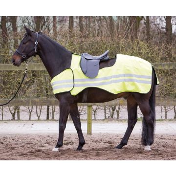 Frontalino equitazione cavallo antimosche FOUGANZA