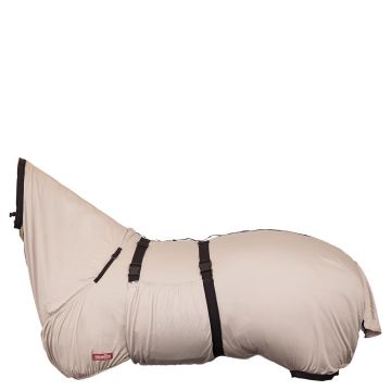 Premiere coperta eczemi 145 Grigio