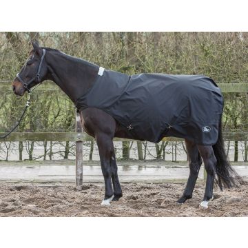 Harry's Horse Coperta per mulino a gradini WP 0gr