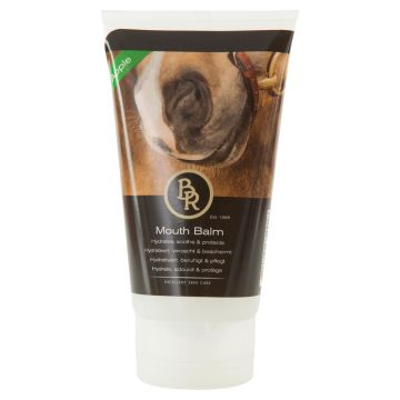 BR Balsamo bocca alla mela 150ml.