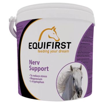 Equifirst Supporto nervoso