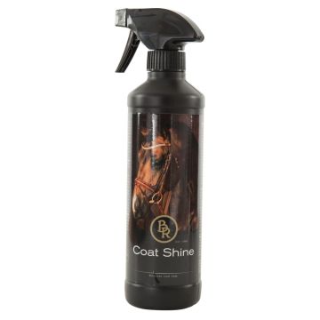 BR Spray lucentezza 500 ml 500 ml 1 Colore