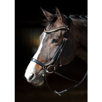 Harry's Horse Briglia Rosegold anatomica
