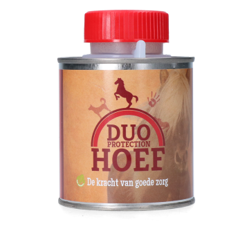 Duo zoccolo