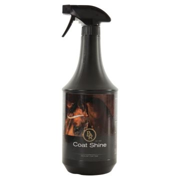 BR Spray lucentezza 1000 ml