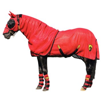 Hofman Cavallo Armor Knockdown Sheet