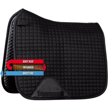 Harry's Horse Sottosella Exceed