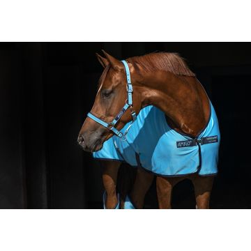 Horseware Products LTD Amigo capestro