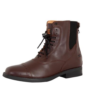 BR Jodhpurs CL + Comtesse Lace 36 Chestnut