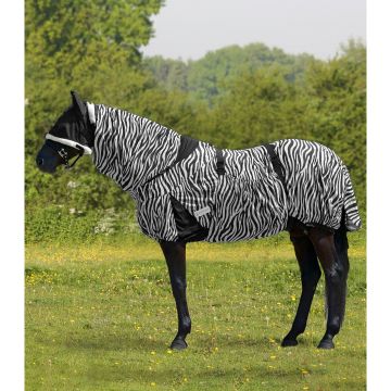 Waldhausen Zebra coperta da eczema