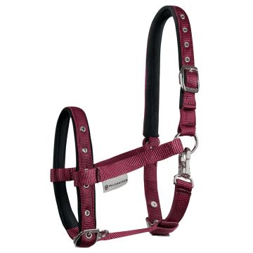 Waldhausen Capezza per puledri Comfort