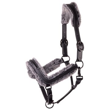 Harry's Horse Halter Pelle Anatomico Peloso Opaco