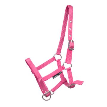 horka PULEDRO DA CAVALLO