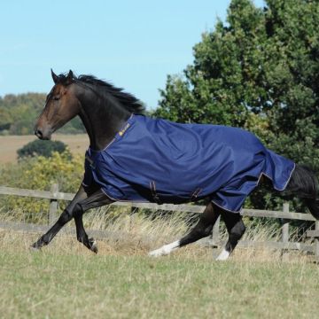 Bucas Affluenza irlandese 150 213 Navy / Gold