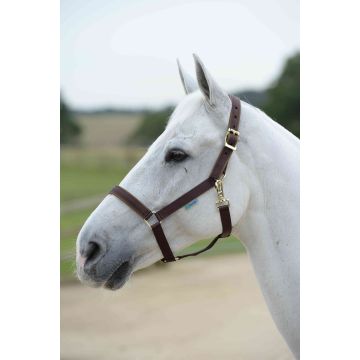 Bucas Dumbbell Dublino Pony Marrone
