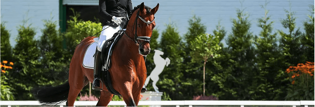 Cavalcare il cavallo "attraverso": 5 consigli