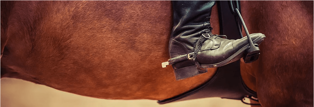 Equitazione con piste