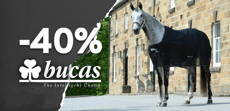 Sconto del 40%!