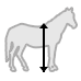 Schofthoogte van paard