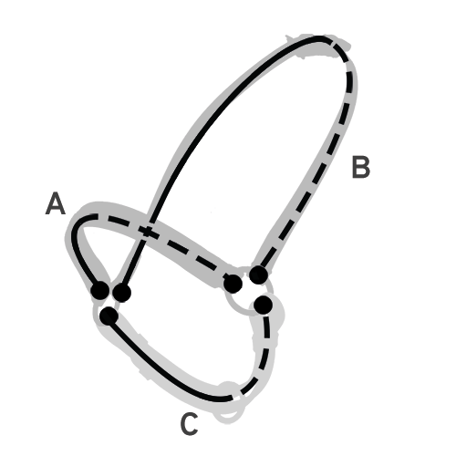 La cavezza da gara in cui sono indicate le taglie A e B